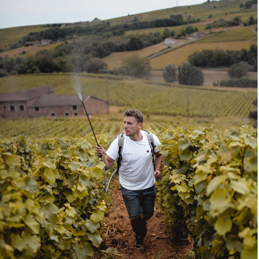 Domaine du Mont Bessay